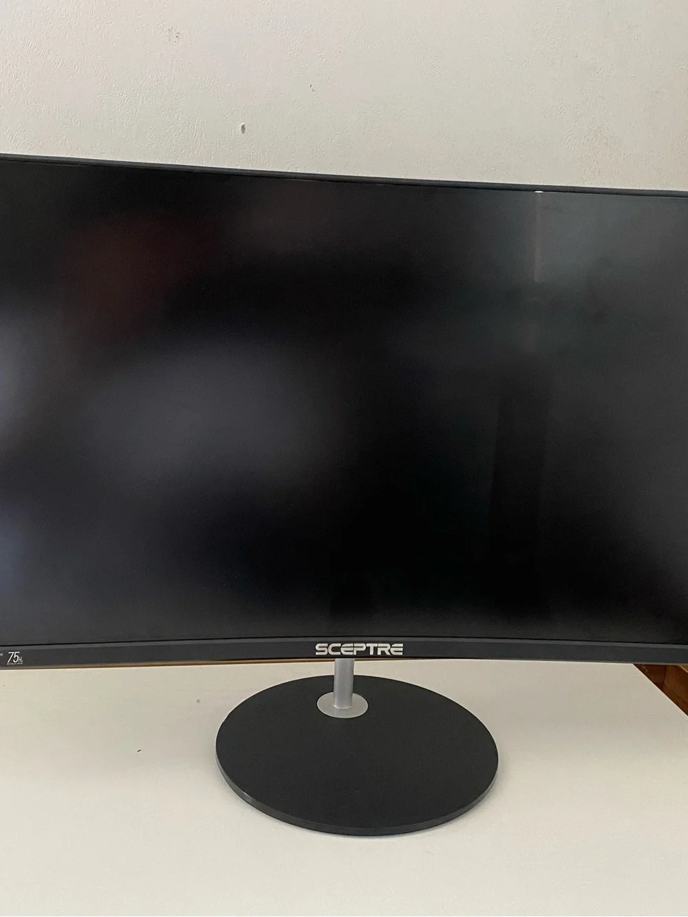 Sceptre 24-inch Curved Gaming Monitor 75hz Model T24 with Stand and Power Cord